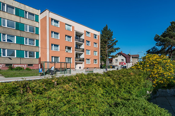 DK 309 (3)