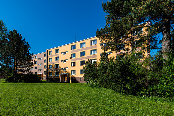 DK 1001 (2)