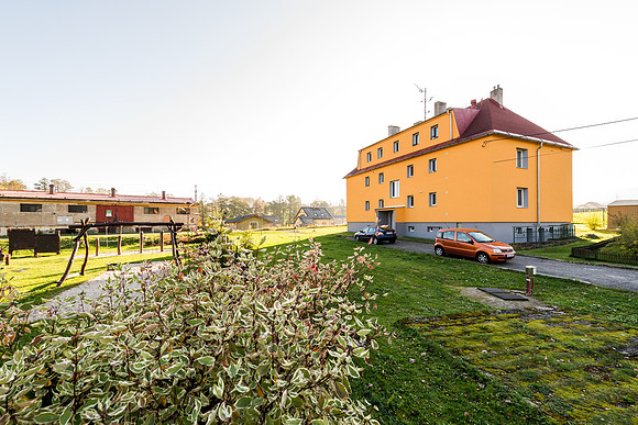 DK 217 (004)